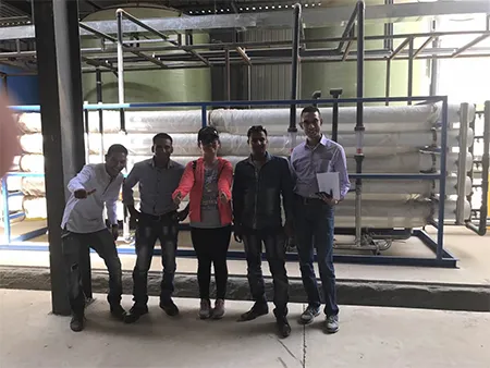 Proyecto de fábrica envasadora de Egypt Electronics