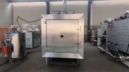 Secador por congelación al vacío