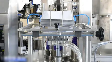 Envasadora de bolsas prefabricadas