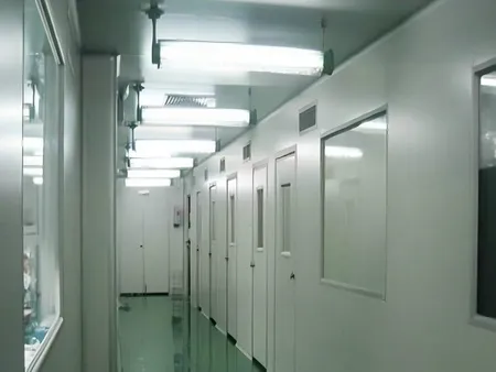 Envasadora horizontal (HFFS)