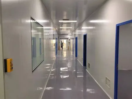 Envasadora horizontal (HFFS)